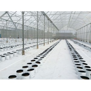 BẠT TRẢI NỀN NHÀ MÀNG